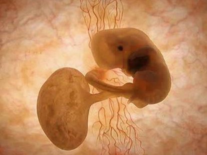 别纠结艾滋病试管婴儿后复查多少钱了，有哪些项目了解下