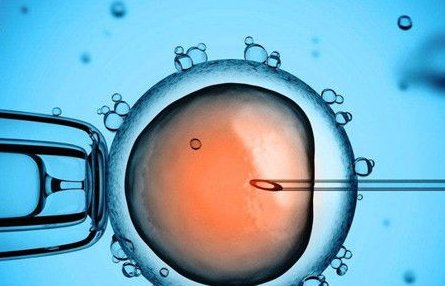 包头土默特右旗试管婴儿哪家好，包头市土默特右旗医院