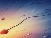 温州三代试管婴儿一般费用是多少？附三代收费表？