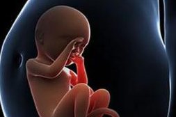 邵阳新邵县试管婴儿哪家好，邵阳试管婴儿医院哪家较好