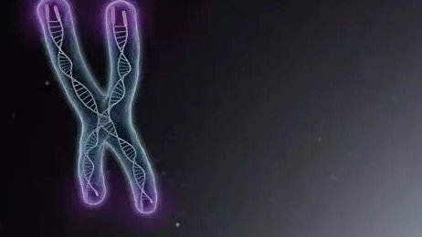 保定单身试管选择助孕价格 保定单身试管助孕医院