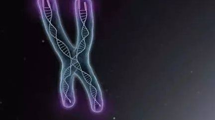 2026成都三代试管价格一览，全程花多少钱心里有数