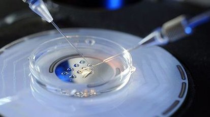 长沙公立医院做试管婴儿的流程安排是怎么样的？成功率如何？